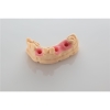Żywica UV BASF Ultracur3D DM2304 Gingiva Mask Dental Resin